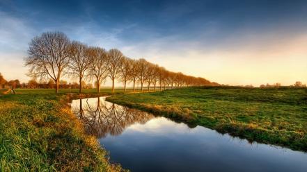 Landscapes nature trees fields creek morning view wallpaper