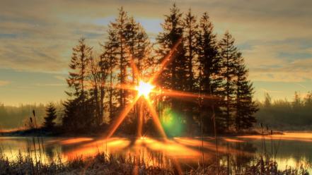 Landscapes nature trees forests rivers sun rays dawning wallpaper