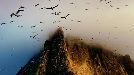 Mountains nature birds scotland wallpaper