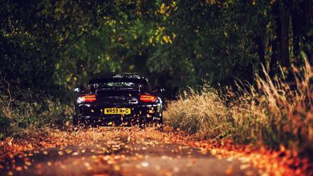 Porsche gt3 cup autumn cars forests leaves wallpaper