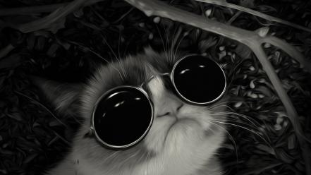 Sunglasses john lennon post awsome grumpy cat wallpaper