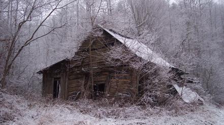Winter trees forest abandoned cottage wallpaper