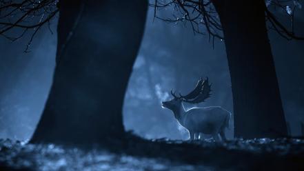 Animals deer forests monochrome night wallpaper