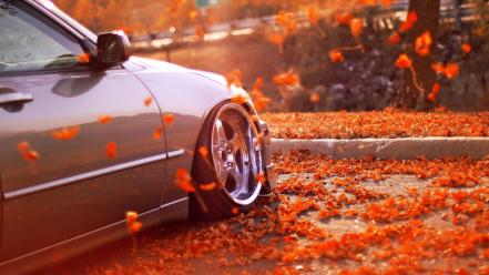 Autumn cars leaves wheels races wallpaper