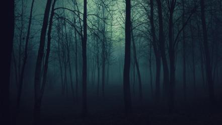 Dark fog forests gloomy mist wallpaper