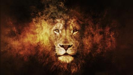 Fire king artwork lions narnia aslan wallpaper