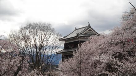 Japan castles cherry blossoms flowers sakura spring wallpaper