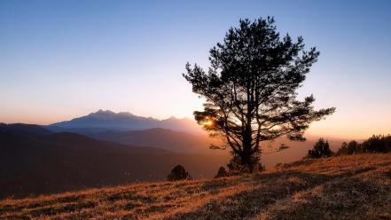 Sunrise mountains landscapes nature trees morning dawning wallpaper