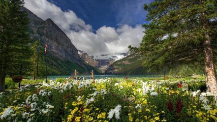 Chateau lake louise flowers garden lakes wallpaper