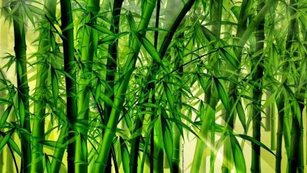 Abstract backgrounds bamboo forests wallpaper