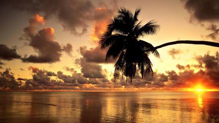 Beautiful sunset beach wallpaper