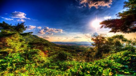 Landscapes nature forests distance valleys hdr photography wallpaper