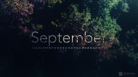 Multicolor calendar september wallpaper