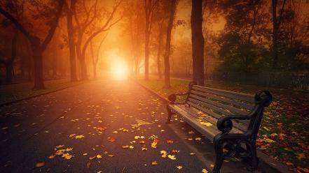 Nature autumn bench sunlight wallpaper