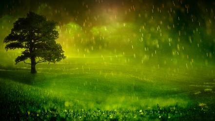 Nature rain wallpaper