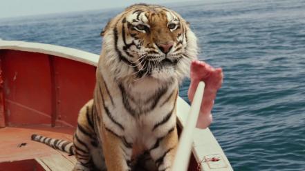 Ocean movies tigers scene life of pi wallpaper