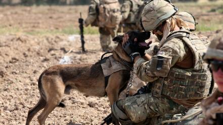 Soldiers military dogs wallpaper