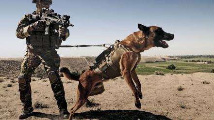 Afghanistan belgian shepherd dog g36c german wallpaper