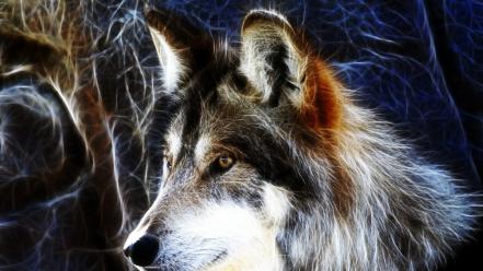 Animals fractalius wolves wallpaper