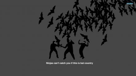 Cant catch you if country memes wallpaper