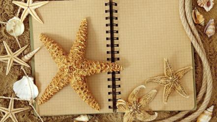 Composition notebook paper ropes sand shells wallpaper