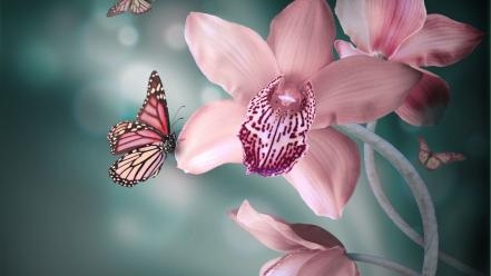 Flora orchids butterflies wallpaper