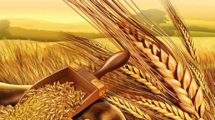 Food wheat illustrations wallpaper