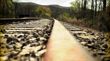 Trees rocks railroad tracks depth of field wallpaper