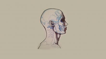 Anatomy drawings simple background skull and fire wallpaper