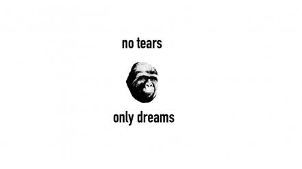 Ape black and white minimalistic monkeys motivational wallpaper
