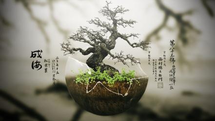 Bonsai chinese characters plants trees wallpaper
