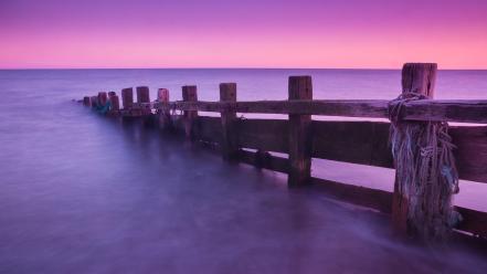 England purple united kingdom seven sisters country park wallpaper