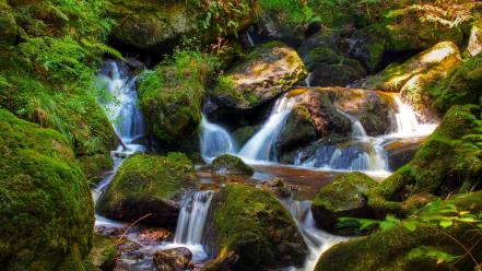 Green water landscapes nature trees rocks waterfalls creek wallpaper
