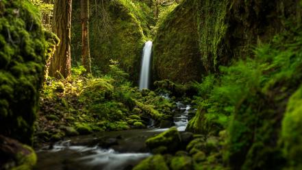 Nature forests oregon waterfalls ruckel creek falls wallpaper