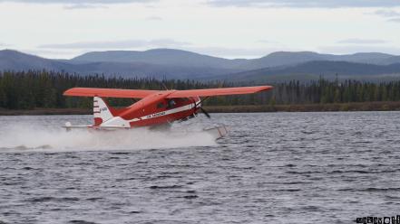 Seaplane de havilland canada dhc-2 beaver wallpaper