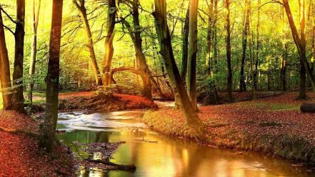 Water landscapes nature trees outdoors wallpaper