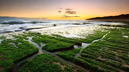 Algae dawn green hills landscapes wallpaper