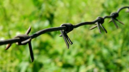 Barbed wire fences green wallpaper