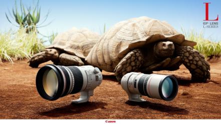 Canon eos animals artwork close-up wallpaper