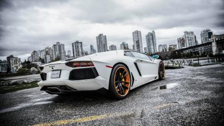 Cars lamborghini wallpaper