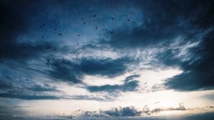 Clouds birds skyscapes skies wallpaper