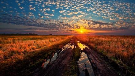 Landscapes grass sunlight mud hdr photography skyscapes wallpaper