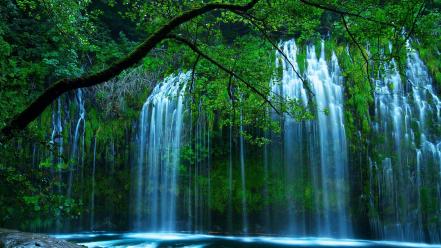Landscapes nature trees forests waterfalls wallpaper