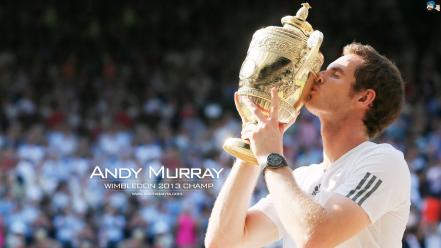 Andy murray wimbledon tennis wallpaper