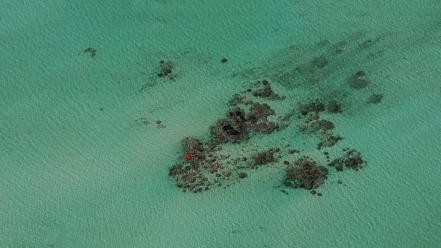 Blue ocean reef holidays canoe mauritius sea wallpaper