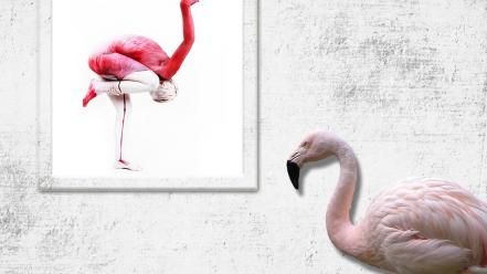 Bodypainting flamingos wallpaper