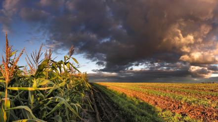 Clouds nature fields perception wallpaper