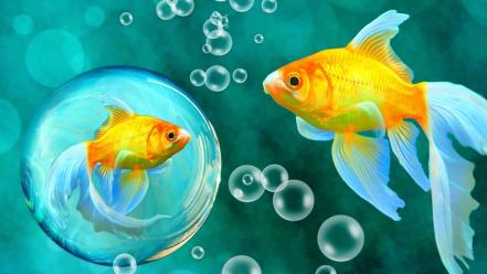 Gold bubbles goldfish bokeh underwater fishes sea wallpaper