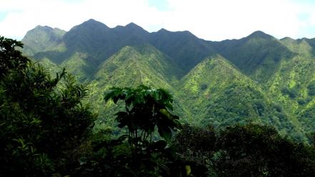 Hawaii fog forests jungle landscapes wallpaper