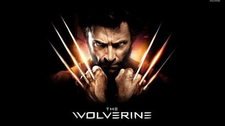 Hugh jackman the wolverine logan movies wallpaper